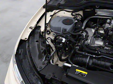 2025�� �Ŀ� 300TSI Pro