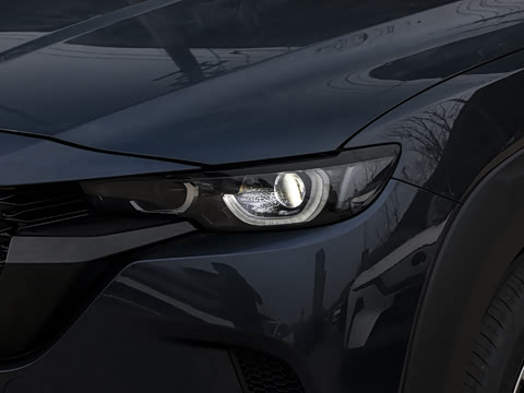 2026�� 2.5L ���а�