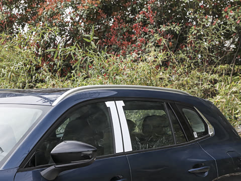 2026�� 2.5L ���а�