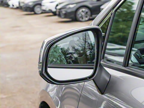 2026�� 2.5L ˫��������������