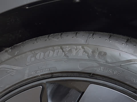2026�� ����������