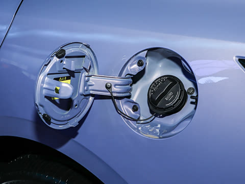 2026�� 1.5L ��϶���