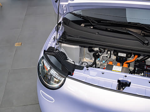 2026�� �����