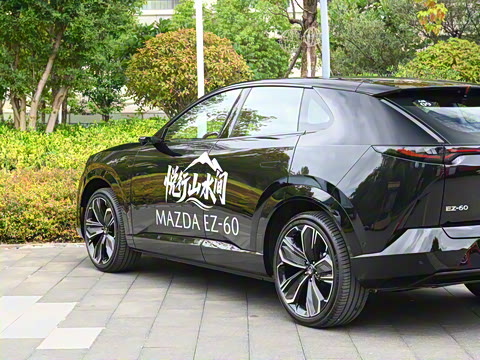 2025�� ����600 Max