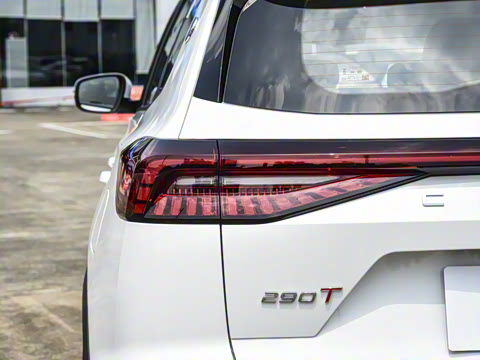 2025�� 290T ��������+