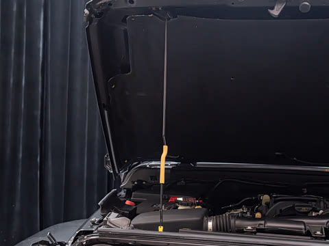 2026�� 3.6L �����ԽҰ�þӳ�