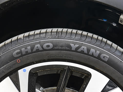 2026�� DM-i 220KM��Խ��