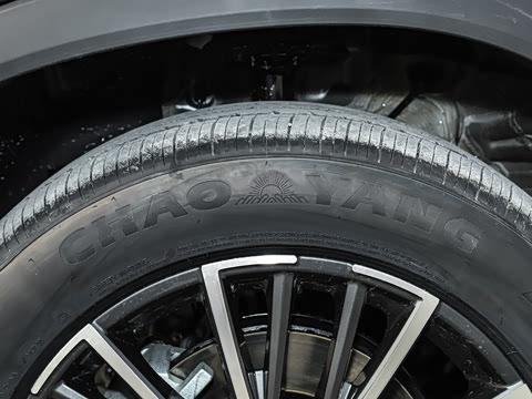 2026�� �ھ��� 290T ���������� 5��