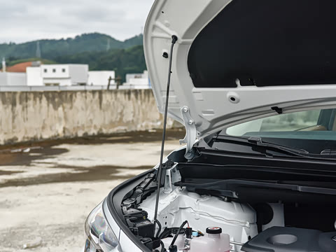 2027�� 2.5L ˫����������