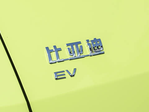 2026�� 305km ������