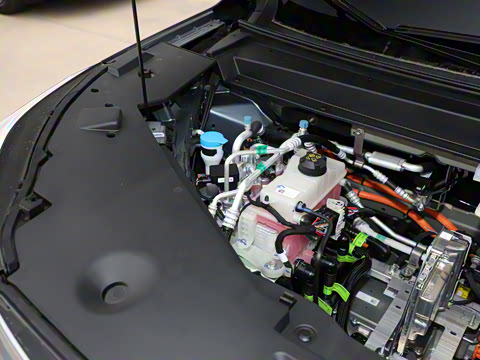 2026�� 650 ��׼��