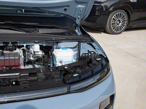 2025�� 650������