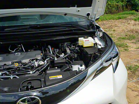 2026�� 2.5L ˫������������