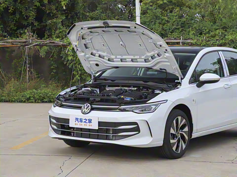 2026�� 300TSI Pro