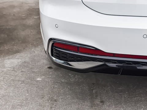 2026�� 300TSI DSG�ǿ����Ȱ�