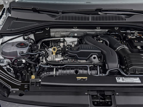 2026�� 300TSI DSG�ǿ����Ȱ�