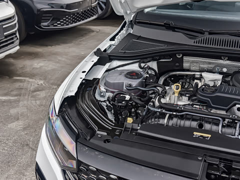 2026�� 300TSI DSG�ǿ����Ȱ�