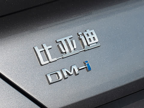 2026�� DM-i 310�콢��