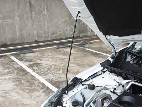 2026�� 1.6L CVTʡ�İ�