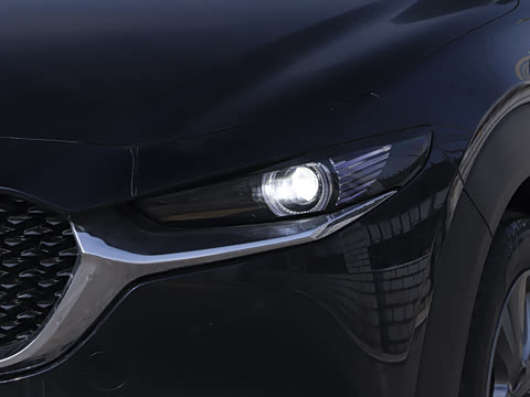 2025�� 2.0L �Զ�������