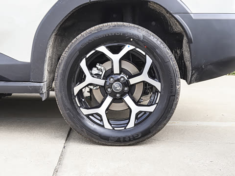 2025�� 147km ��������