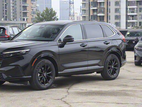 2026�� ȫ��30����ҫ�� 2.0L e:HEV ����������