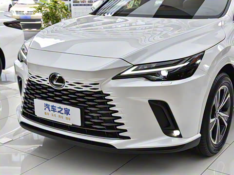 2026�� 300 ����������