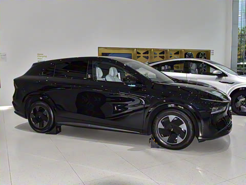 2025�� 602 ������ Max