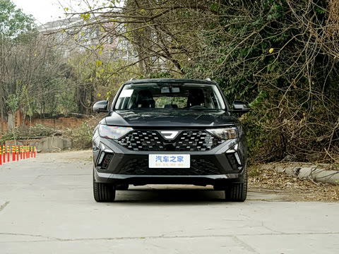 2026�� 280TSI �Զ�����Plus��