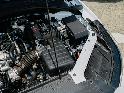 2026�� 180DVVT ȫ�����Ȱ�