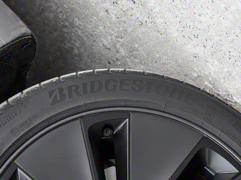 2025�� �Ŀ� ����������