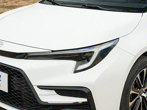 2026�� ����L ���Ͱ� 2.0L ����PLUS��