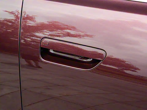 2025�� ���� Max+ ������������ 