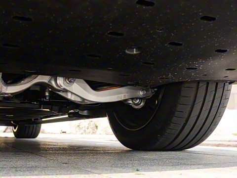 2025�� ���� Max+ ������������ 