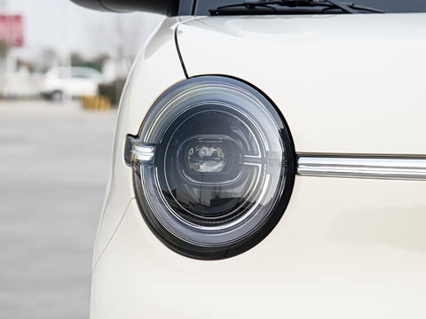 2026�� ����� 301km ���׿�