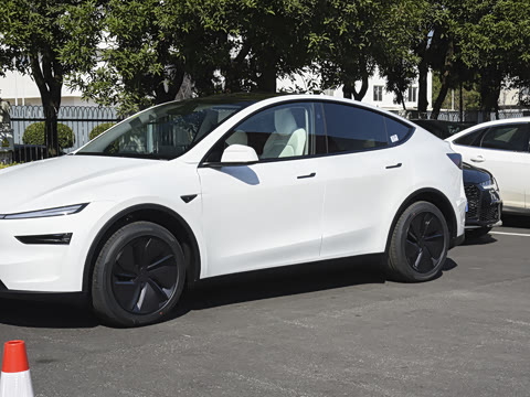 2026�� ����������������