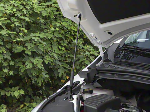 2025�� 2.4L �ֶ��߼����а� CNG 7��