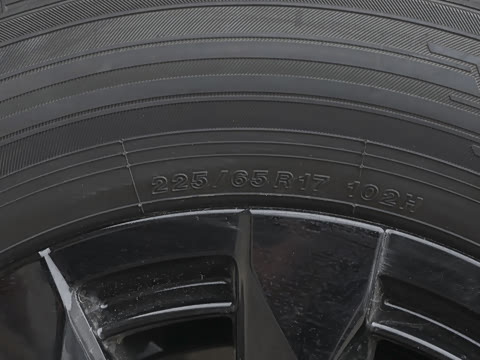 2026�� 2.5L ���а�