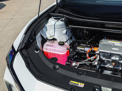 2026�� ������ JOY