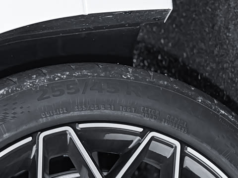 2026��   95������ Max��