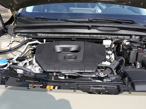 2026�� 2.5L ���а�