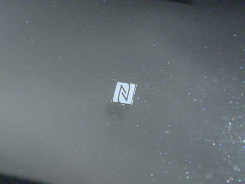 2025�� ���� Max+ ������������ 