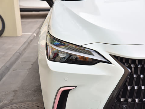 2026�� 200 ��ɫ�޶���