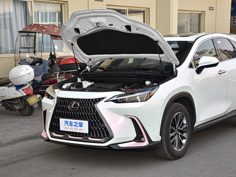 2026�� 200 ��ɫ�޶���