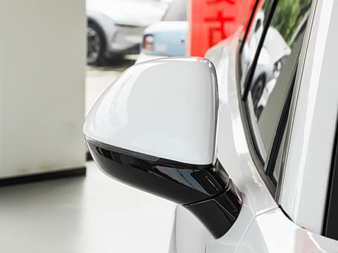 2025�� Max ������