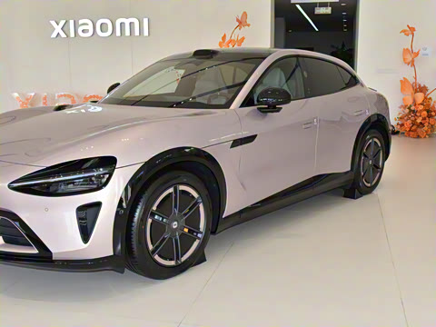 2025�� ������������Pro��