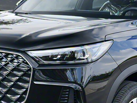 2025�� 290TGDI DCT���ư�