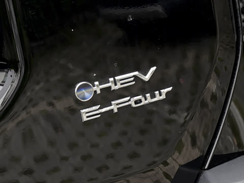 2026�� ˫�� 2.5L ����������