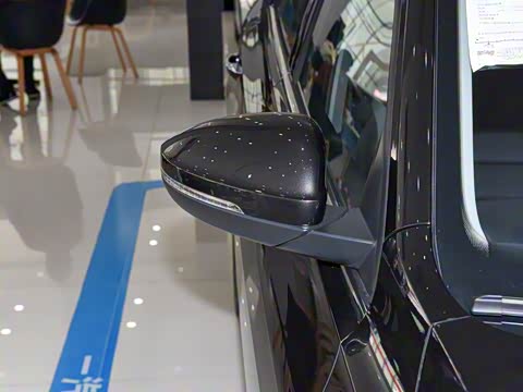 2025�� �Ŀ� 300TSI DSG���а�