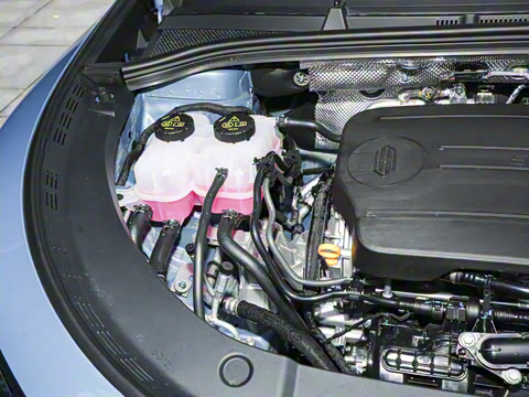 2025�� ���� Max